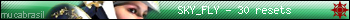SKY_FLY